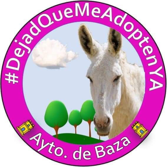Milanachula's tweet photo. @AytoBaza trasladen de inmediato, al burrito que tienen en la perrera al Santuario Winston, es urgente que lo asista un veterinario. Actúen conforme a la ley y de forma ética por el bien del animal.
#DejadQueMeAdoptenYa
#AytoBaza
#PalabraDeARA https://t.co/wnOxFyyqHq