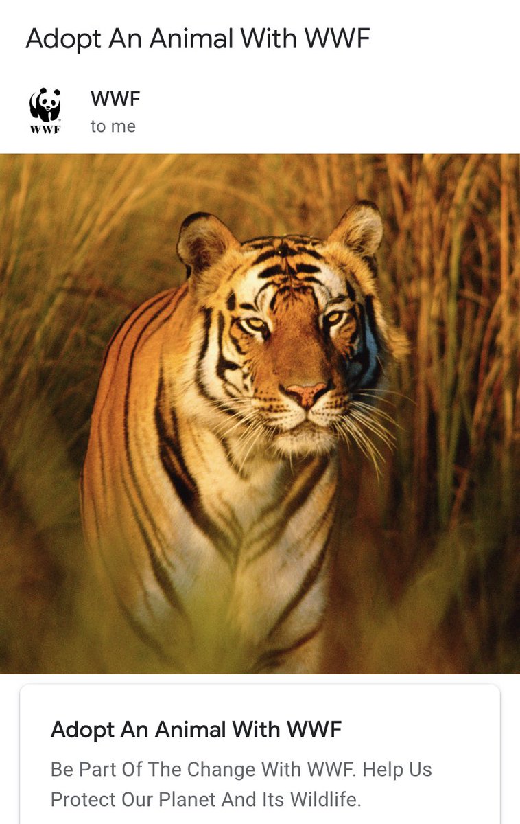 mrjohnofarrell's tweet image. This could never work. My back garden is like, 50 foot and we have a 12 year old retriever.