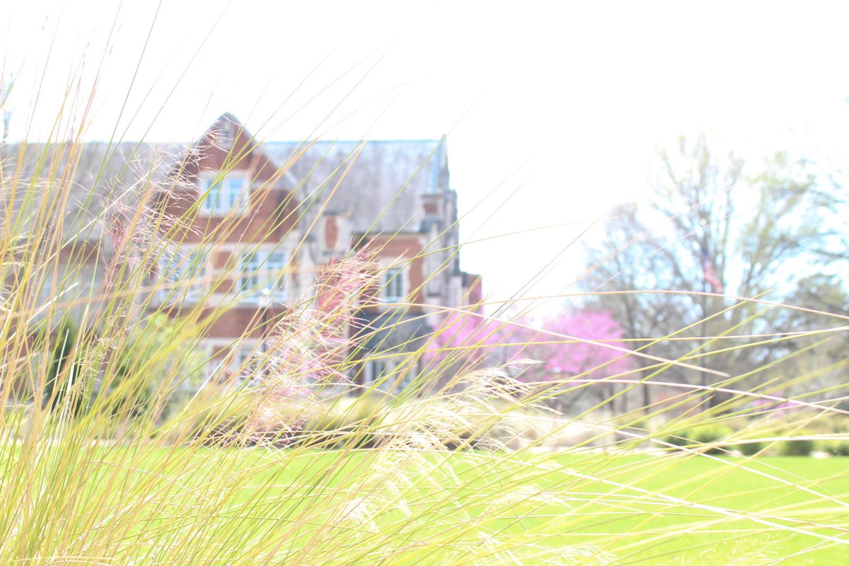 Agnes Scott College tweet media