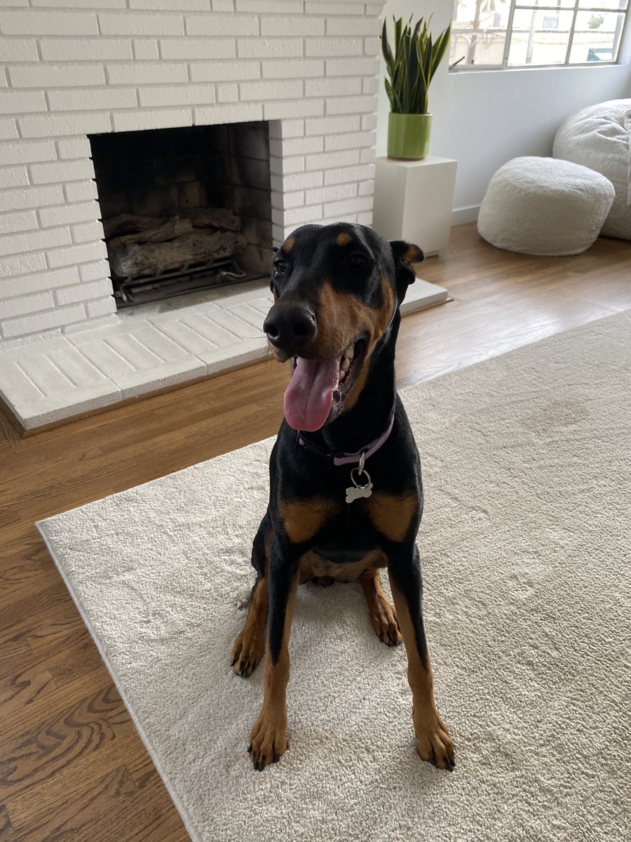 the face you make after pooping out an AirPod