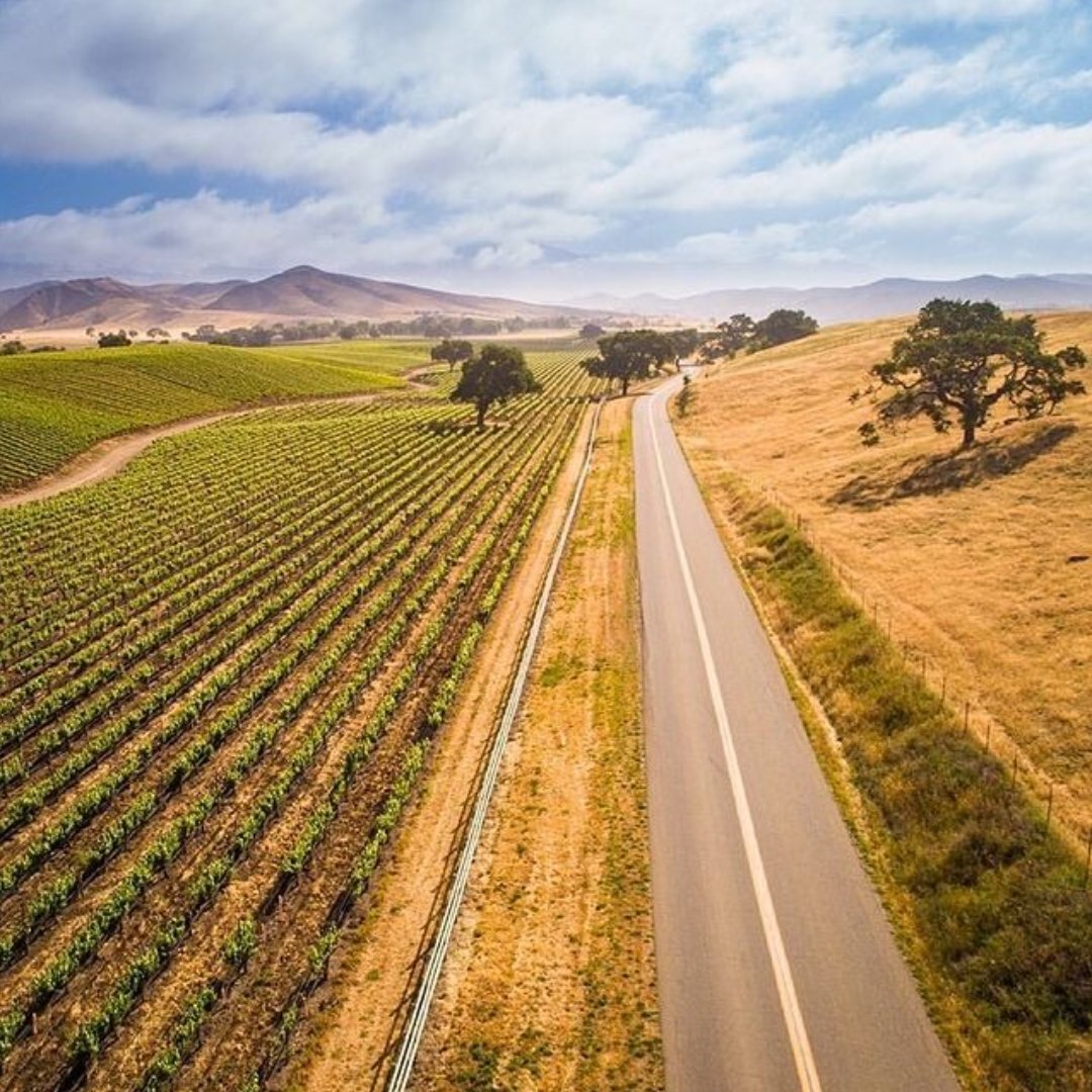 Jeanne805's tweet photo. Photographer @chuckplace reminds us how beautiful the drive up Happy Canyon Road in the Santa Ynez Valley can be 🙌.
📸: @chuckplace
.
.
#syvibes #visitsyv #santaynezvalley #solvang #santaynez #ballard #buellton #losalamosca #losolivosca #sbcwine #californiaroadtrip https://t.co/mEaKh3c6NB