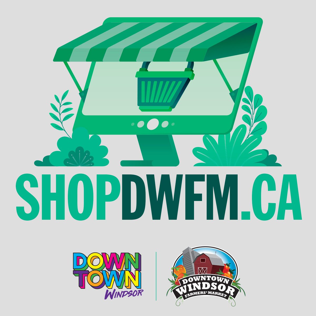 Avinus Web Services tweet media