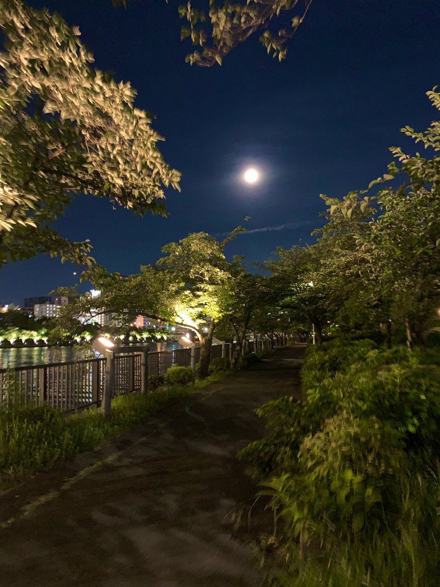 石川 恵美子 New Agenda代表 Emiko Career Twitter