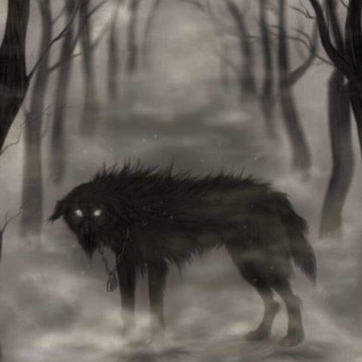 EmptyInnerspace's tweet image. #NuevaFotoDePerfil