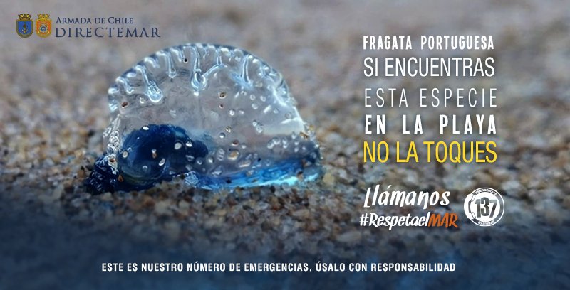 DIRECTEMAR - Armada de Chile tweet media