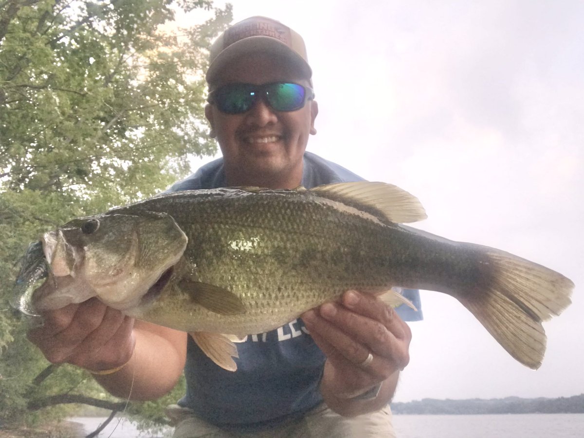 NamNguyenAngler's tweet photo. Back to my roots! Working the shoreline last night on one of my favorite childhood lakes and this one grabbed my piranha swim jig. Some things never change. Fun times! https://t.co/PvpLG3HzZa