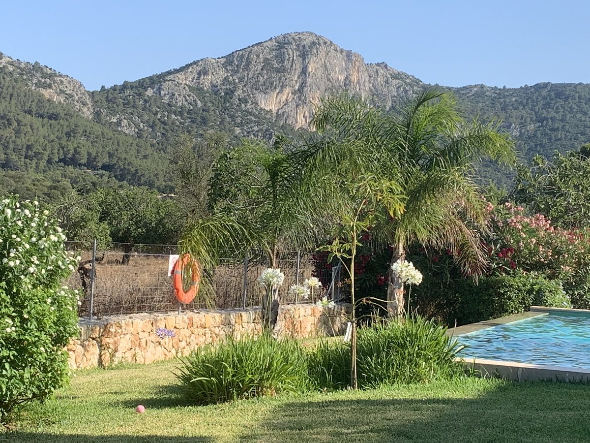 Paul Andrews tweet media