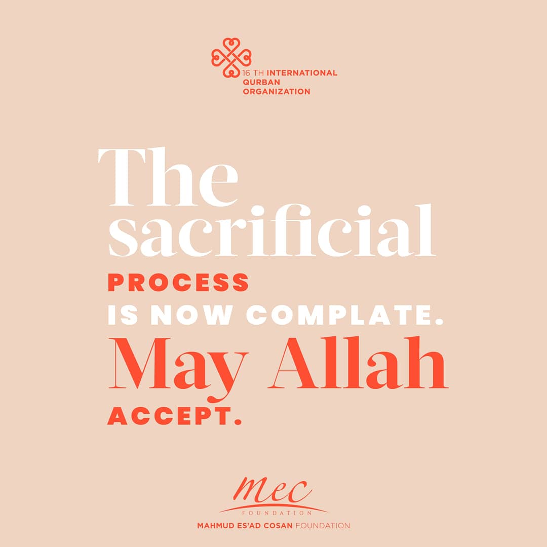 mecvakfi's tweet image. The sacrificial process is complete.
May Allah swt accept.

#DoItRight #DoItForAllah