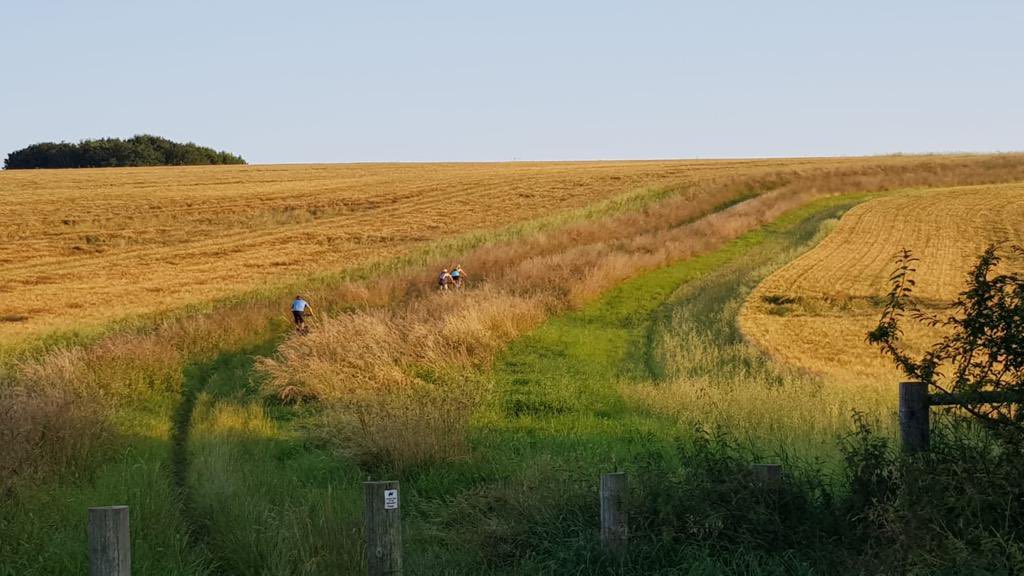 msteventsltd's tweet photo. What an awesome evening for a bike ride! 🚴🏻 Course recce for #teammst at the route for #harwellhalf. @HarwellCampus The route is totally stunning and the best part.. we still have spaces so sign up now! You won’t be disappointed 😉🏃🏃♂️🏃🏼♀️ #ukrunchat #running #halfmarathon #5k https://t.co/ndQZfU7o3t