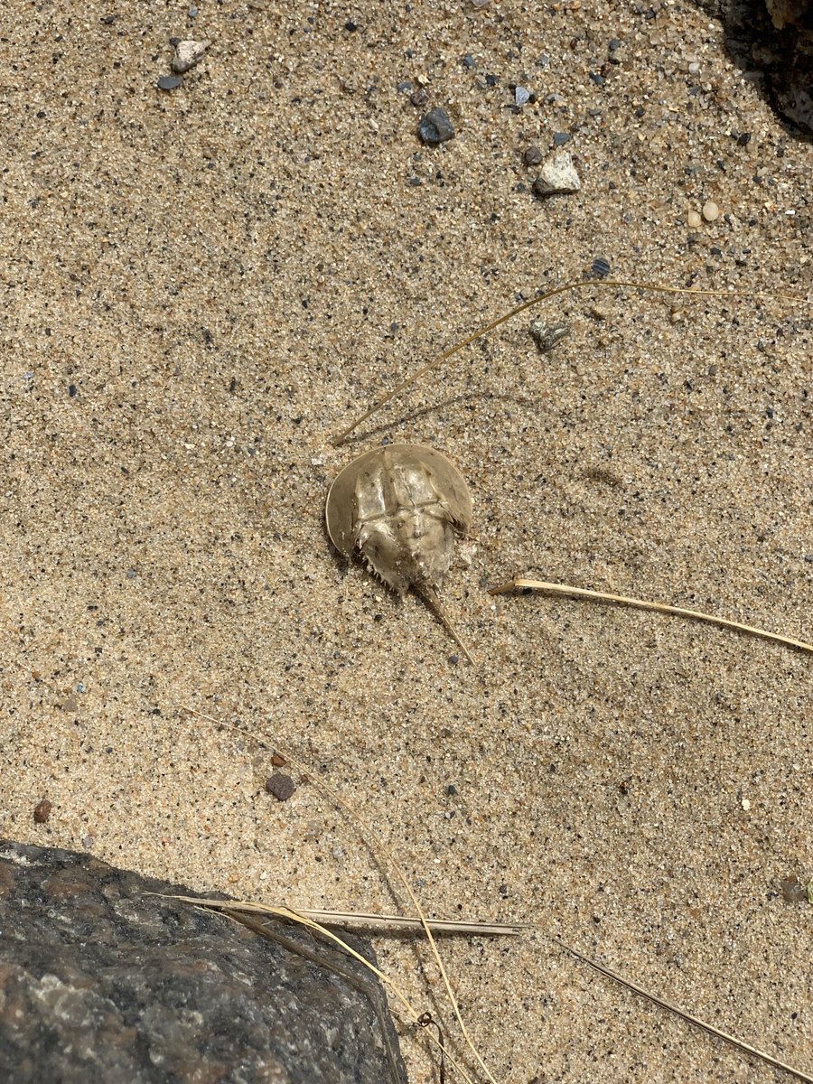 Heather Keating (@heatherakeating) on Twitter photo 