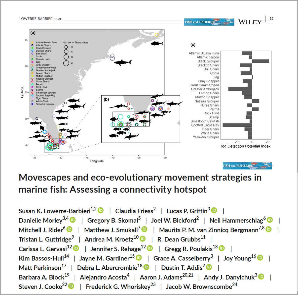 Excited to share our paper using an eco-evolutionary movement strategy framework &amp; integrated tracking data @itag_science to compare movement traits across 23 fish species affecting #MPA effectiveness &amp; vulnerability to #climatechange 
 doi.org/10.1111/faf.12…