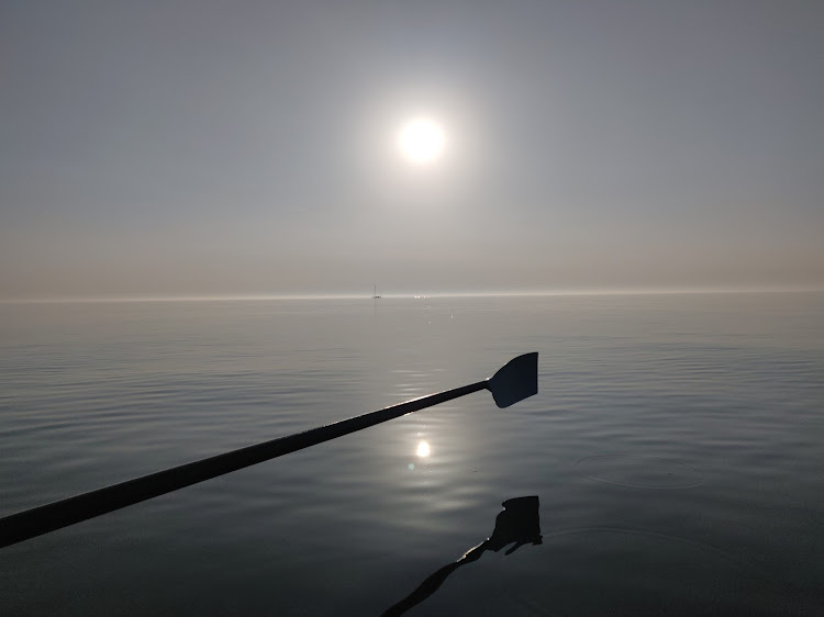 WhiteheadRowers tweet media