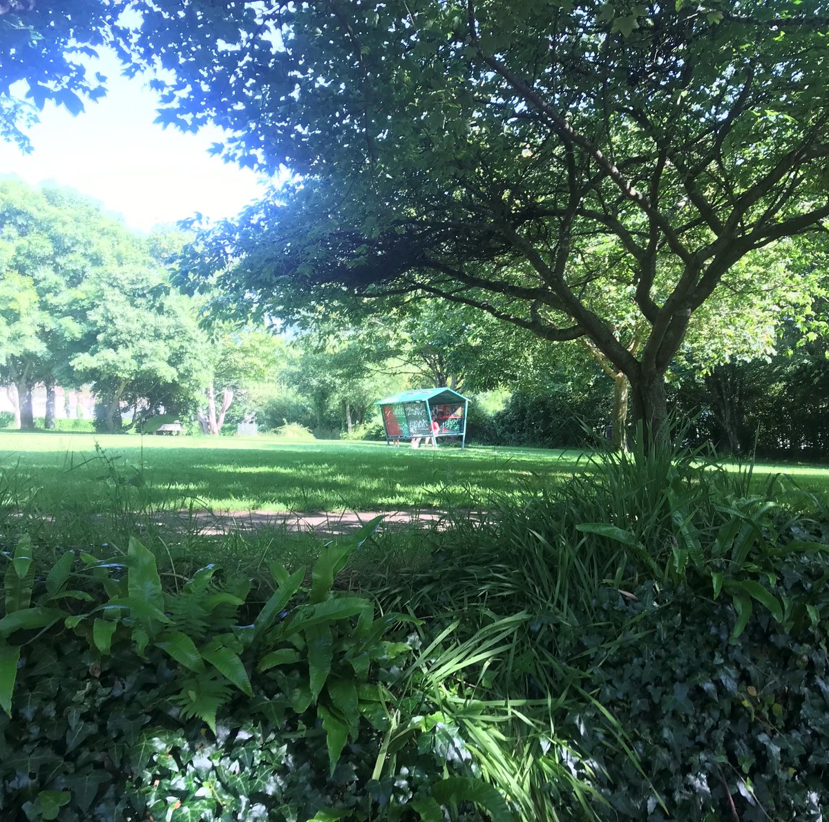 Hayle and St Ives Police tweet media