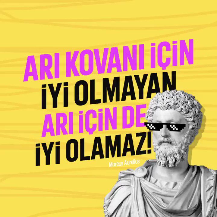 "Arı kovanı için iyi olmayan, arı için de iyi olamaz." - Marcus Aurelius
youtu.be/-Kf05DM6Z74