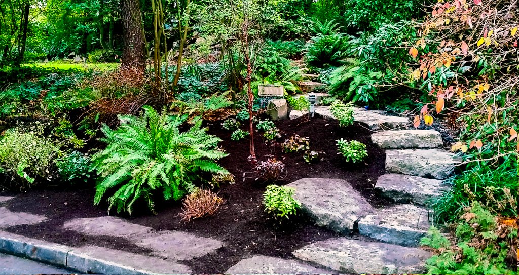 The Peoples Gardening Collective tweet media