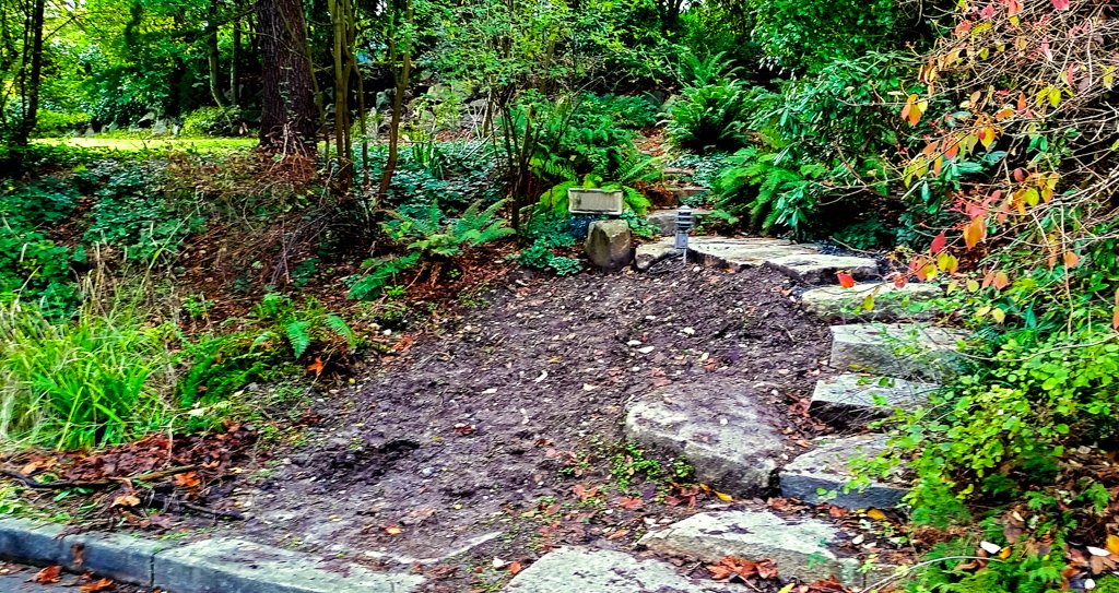 The Peoples Gardening Collective tweet media