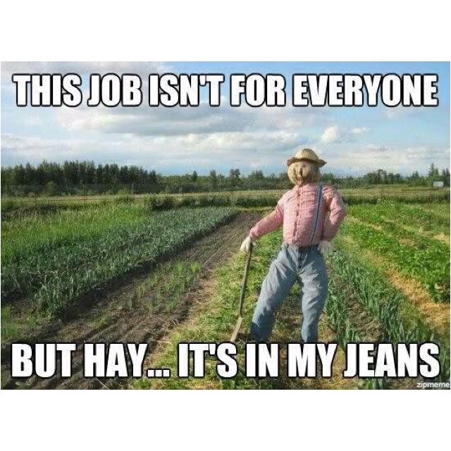 AgForce Queensland tweet media