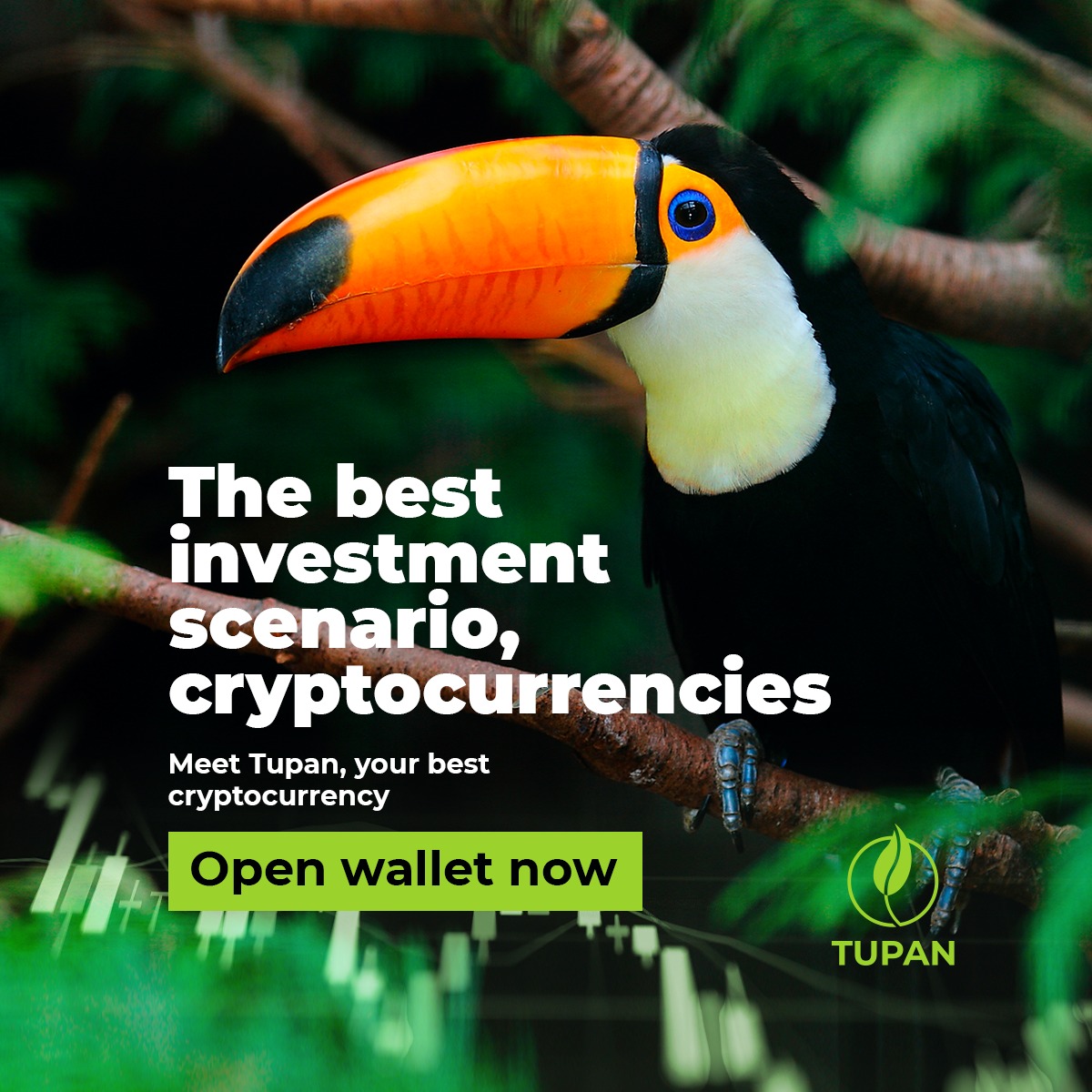 🪙 There is no doubt that cryptocurrencies will be the best investment scenario soon.

🌐 Agile, decentralized and encrypted on the blockchain network, cryptocurrencies represent autonomy and freedom for us.

#tokencryptocurrency #tokencoin #tokenissuer #tokencreator
