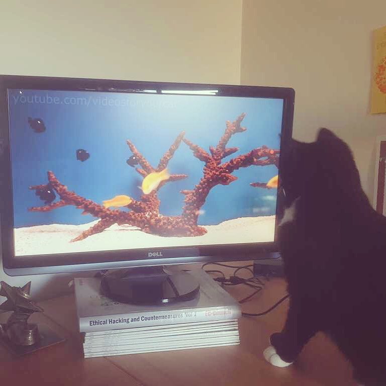 Catherine Royans tweet media