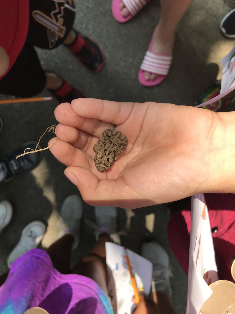 Kristen Foreman tweet media