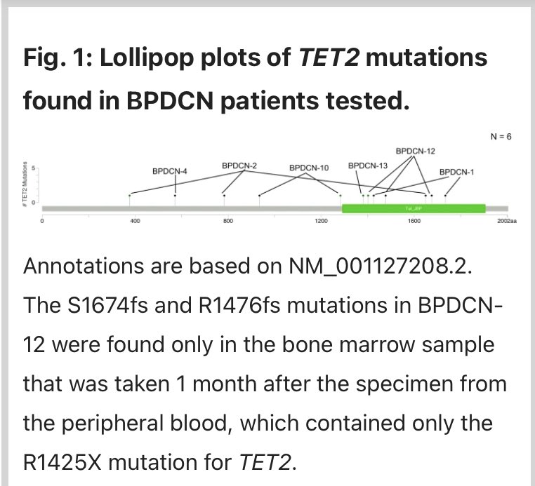 doctorpemm's tweet photo. In honor of the new Twitter handle, Proud to share our group’s work published in @BloodCancerJnl {Dec 2019} in translational #BPDCN || #TET2 #Eotaxin #RANTES #leusm || #BCJ #OpenAccess | Thank you 🙏🏾 @VincentRK &amp; team for the opportunity to share our work in #RareDisease fields! https://t.co/M8b9pNRQKY