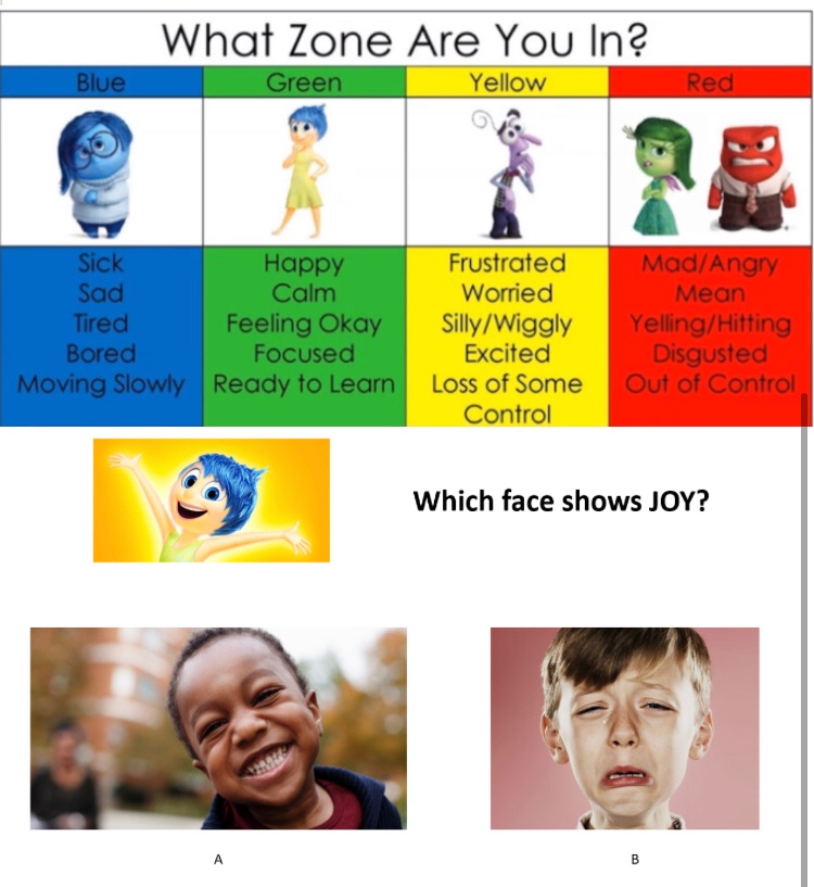 MrsLamers's tweet image. Emotional literacy has been an important theme in our class these past two weeks. We have learned about the Zones of Regulation with Mrs. Baxter and practiced being Social Detectives with Ms. A 💙💚💛❤️#hcdsbspecedsummerlearning