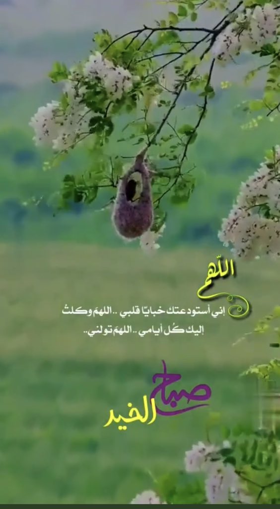 شركة ميار الخليج (@mar_aar) on Twitter photo 