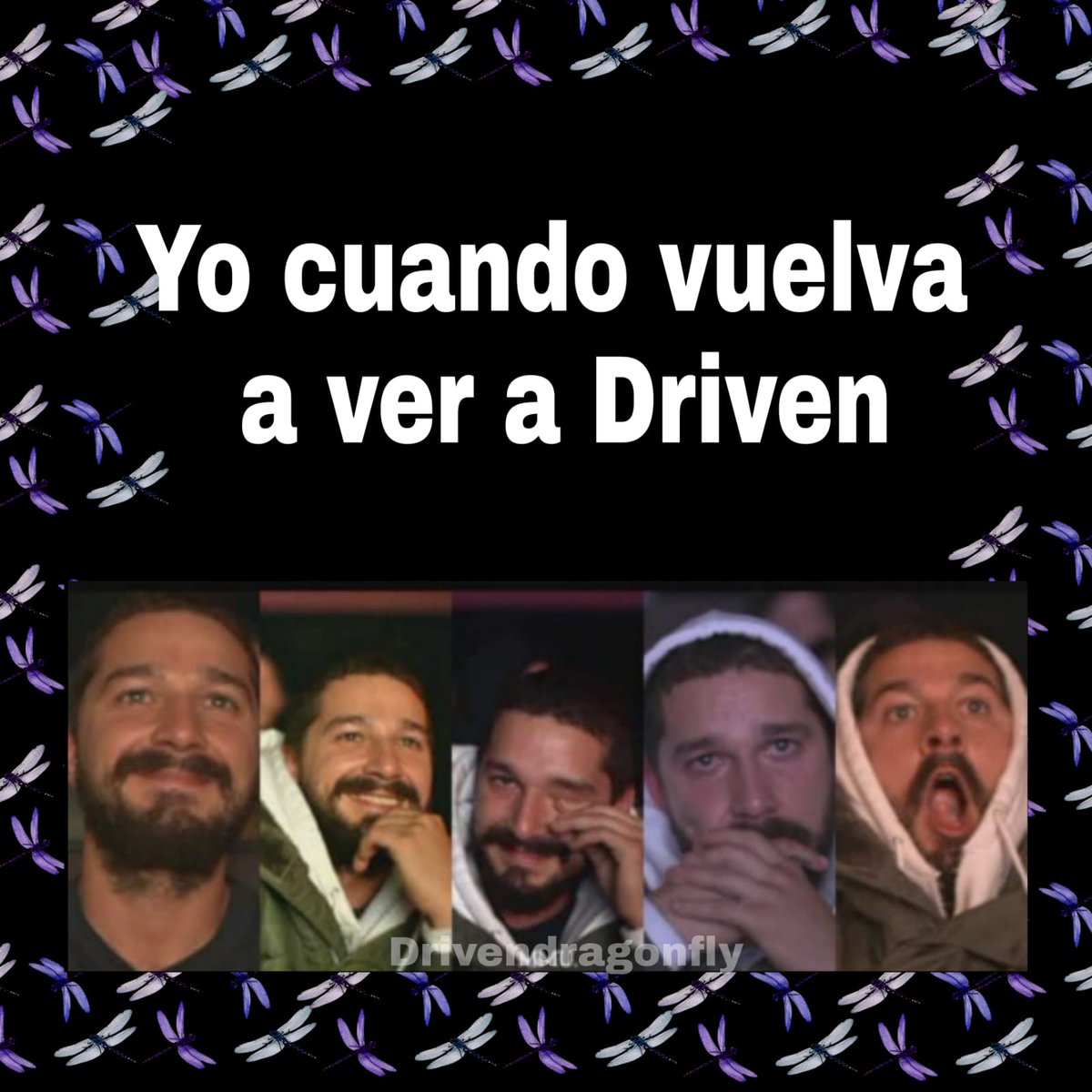 #ArmyDragonflyMéxico tweet media