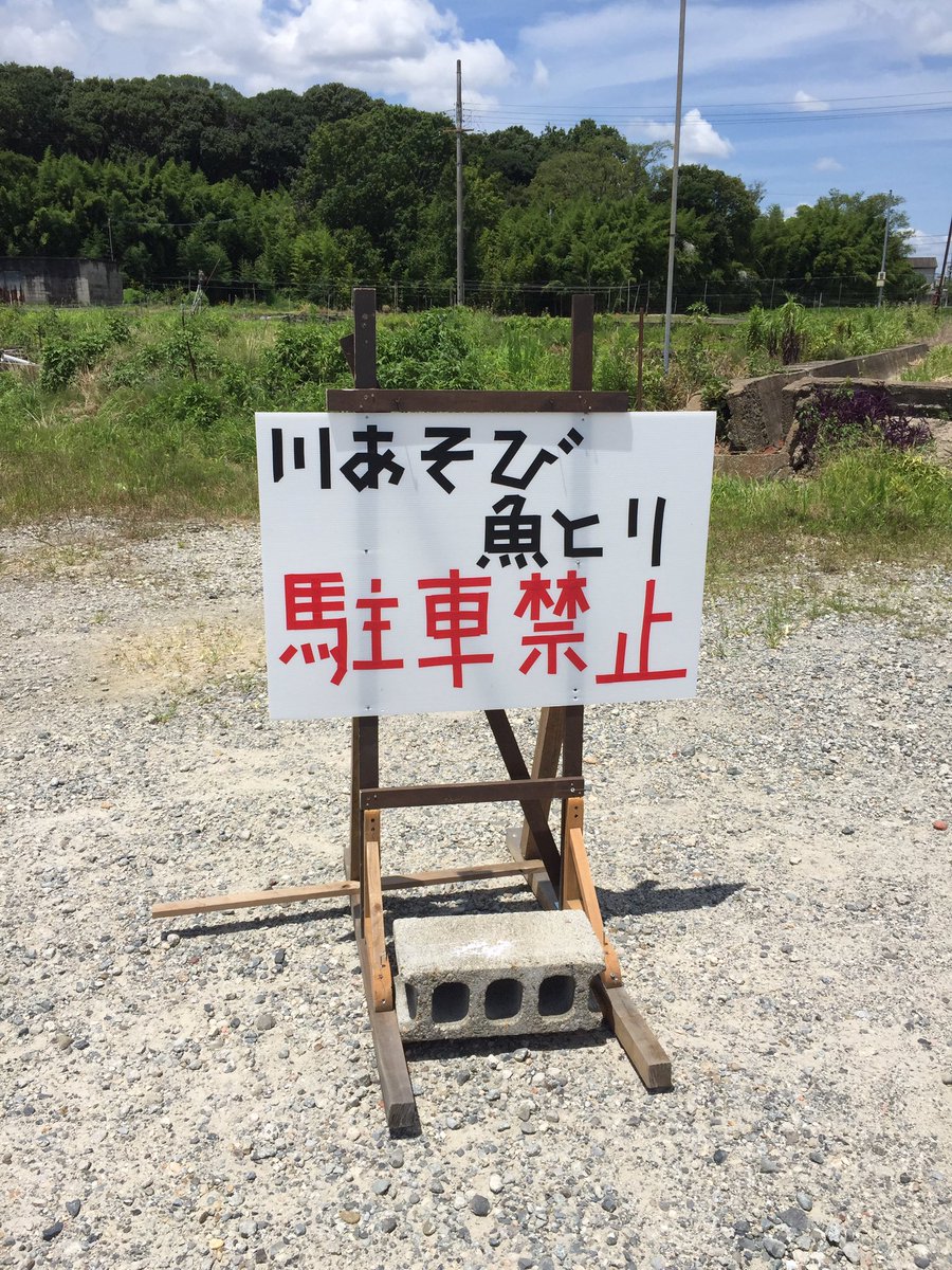 有 やまと錦魚園 金魚資料館 Yamatokingyoen Twitter