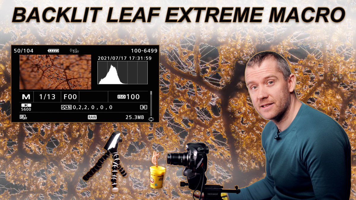 peterviragphoto's tweet photo. In my latest #macrophotography tutorial I’ll teach you how I take stacked macro shots of beautiful leaves using backlighting.🍁🔬 #NaturePhotography #abstractphotography #patternsofnature #peterviragphoto #Youtubetutorial #YouTube https://t.co/6qlOoGUwJb