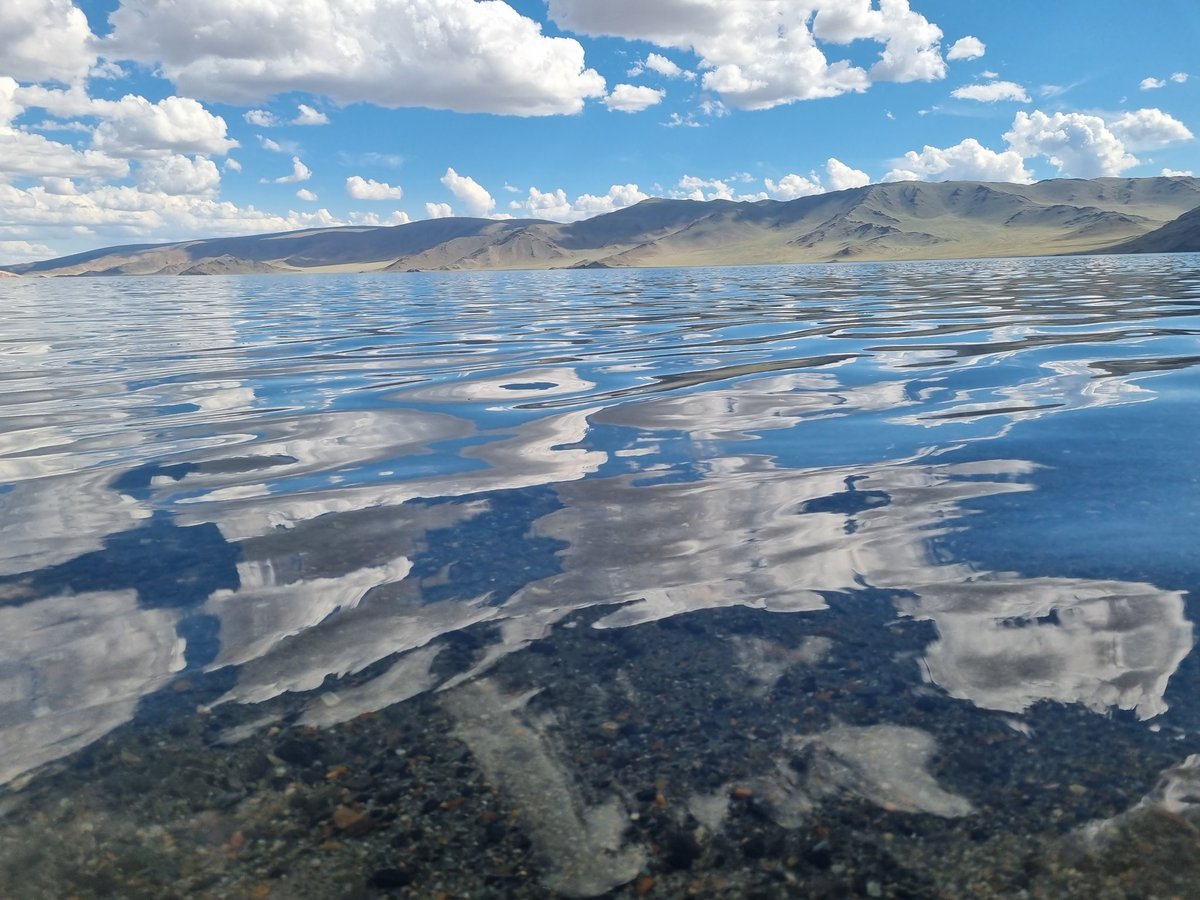 Mambi (@mambi78) on Twitter photo 