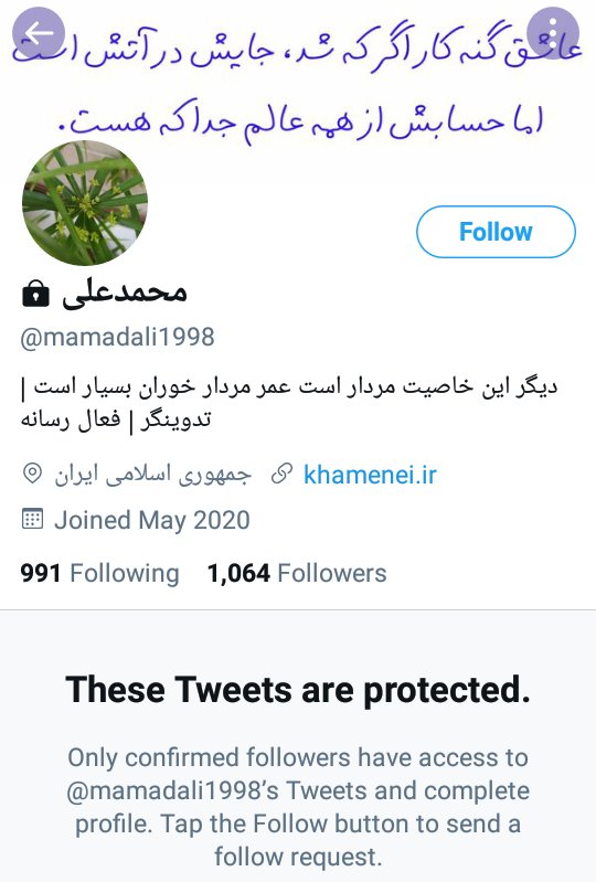 Robin_Hood2021's tweet photo. حروم‌زاده‌ی چهل پدر رو می‌بینید؟ حسابش رو پروتکت کرده و در ضمن هم آواتارش رو تغییر داده. من بلاکش می‌کنم، شما داشته باشیدش.
@mamadali1998 https://t.co/gJkDiCCqIw