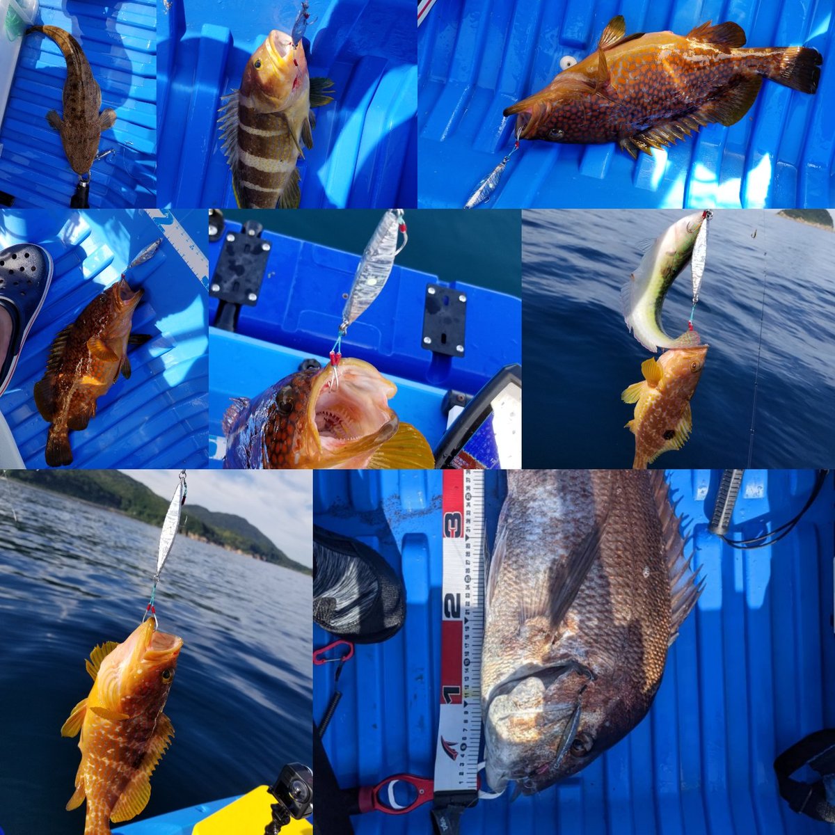 スーパーライトジギング Twitter Search