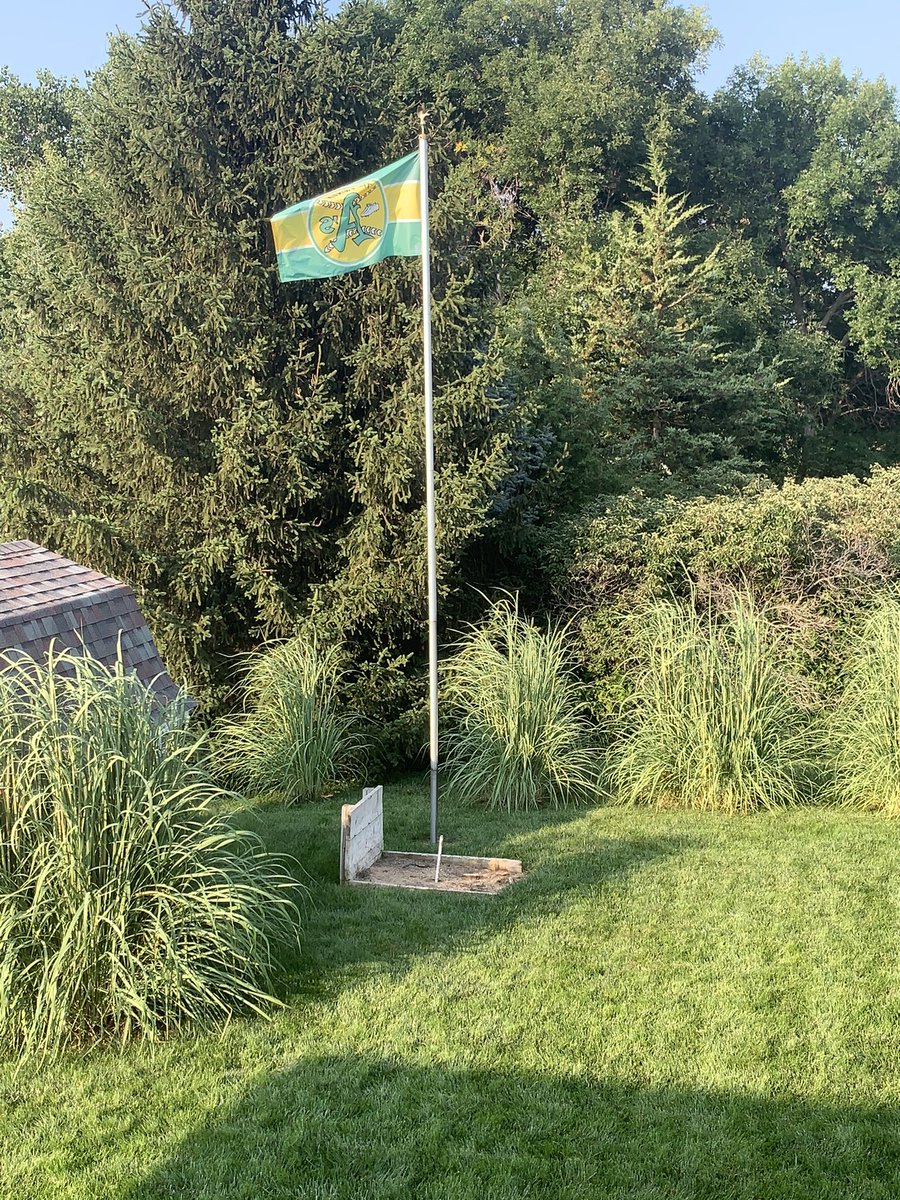 angelixafisher's tweet image. View from the Home Office in Lincoln, Nebraska. Rockin my new Oly tshirt @DALLASBRADEN209 @Starting9 @Athletics @mattolson21 @MLB