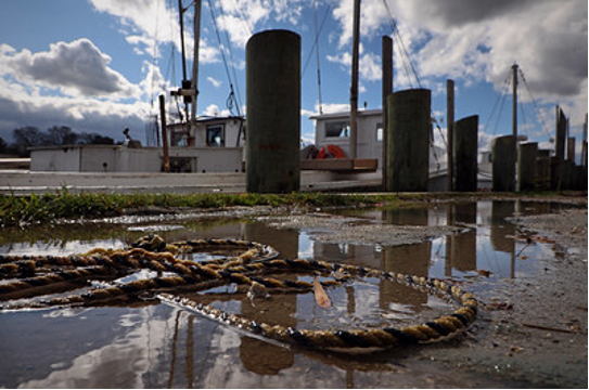 selc_org's tweet photo. Do you live or work in VA’s coastal regions? Help shape #VA’s first #coastalresilience master plan by filling out the public survey and attending an upcoming outreach meeting.

Your input is needed!  #VACRM https://t.co/RilSaTG9N2 https://t.co/7dzM9z0Dpr