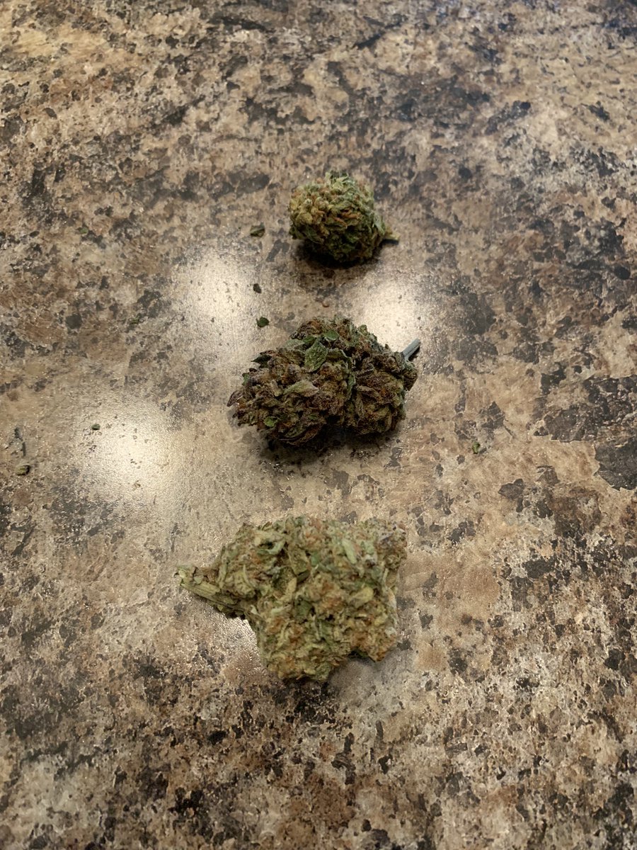 WhiteHatRat's tweet photo. 1 was grown by “professionals” the other 2 were grown at home - who ya got? #growyourown #freshbiscotti #dosipunch #Tweed https://t.co/ltPgVHX5tf