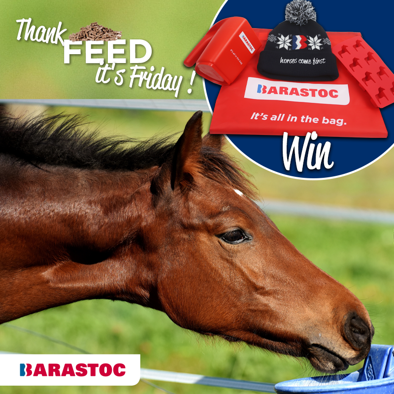 Barastoc Horse (@Barastoc_Horse) / Posts / X