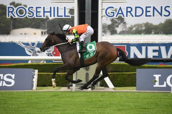 beermitchell's tweet photo. After having a chat with @mcacajamez about Cosmic Force it was a pretty easy decision on where to send our stable ⭐️ of last season Princess Cordelia.
#SpeedOnSpeed https://t.co/yRLcIiGvTq