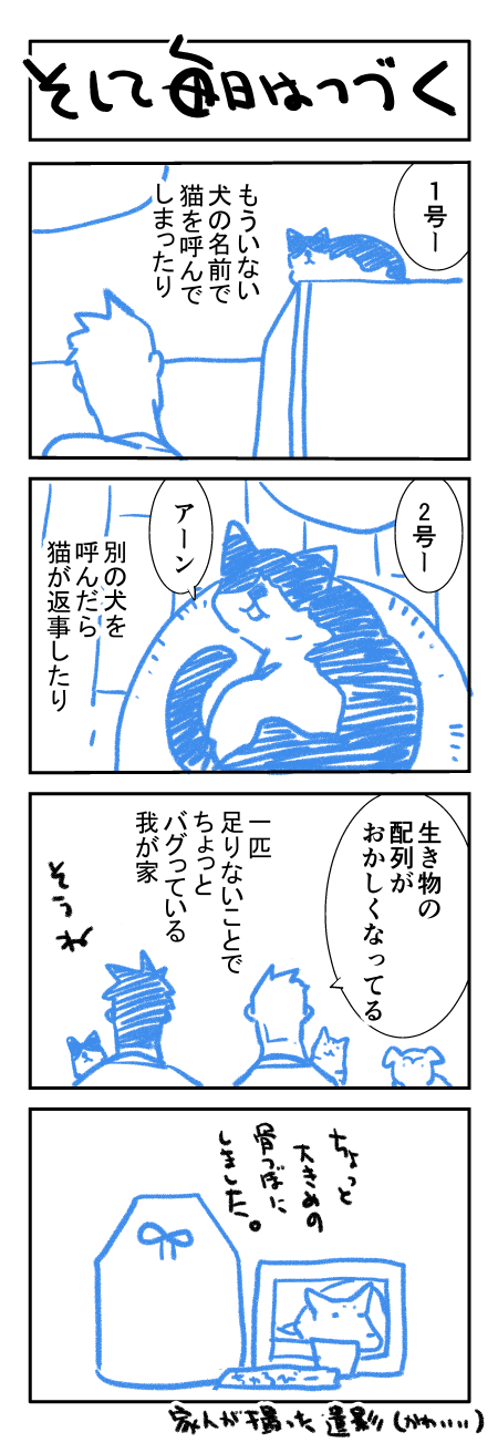 ふじい葛西 嵩崎ナツハ Ri Ru 心よりお悔やみ申し上げます 御家族の腕の中で虹の橋に渡れた事は 幸せな事だったのではないかなと思います りーるー先生も御家族の方も どうかお力落としなさいませんよう Twitter