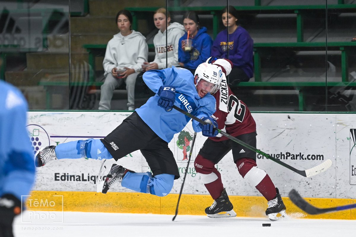 TēMo Photo tweet media