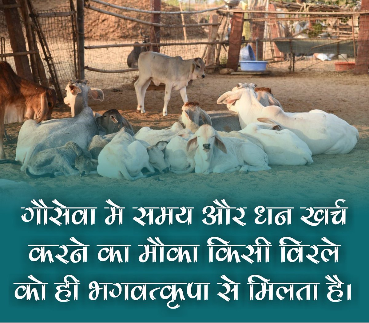 #गौसेवा मे समय और धन खर्च करने का मौका किसी विरले को ही #भगवत्कृपा से मिलता है।
#गौसेवा_कृष्णसेवा 
#आओ_गाय_से_प्रेम_करें
#Desicows
#desiGomata
#Savecowsavebharat
#Savecowsaveworld
@GauPrem