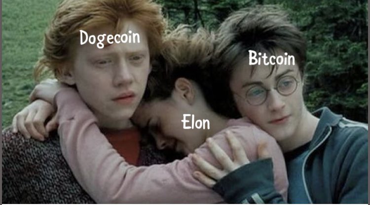 Dogecoinrich's tweet photo. https://t.co/H1xVubFH6H