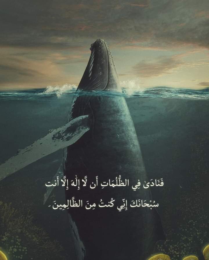 Ahmed Faramawy (@ahmedfaramawy12) on Twitter photo 