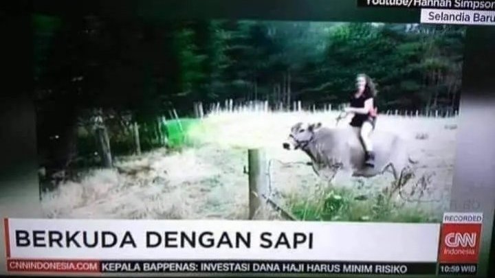 TXT OJOL tweet media