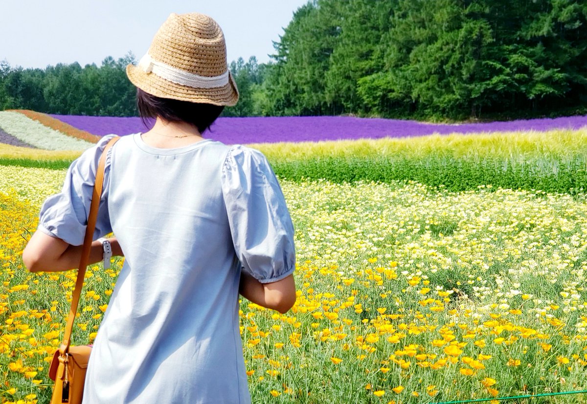 memisunshine11's tweet photo. #hokkaidojapan
#furano2021
#lavenderfield
#tomitafarm https://t.co/GAPQExiC65