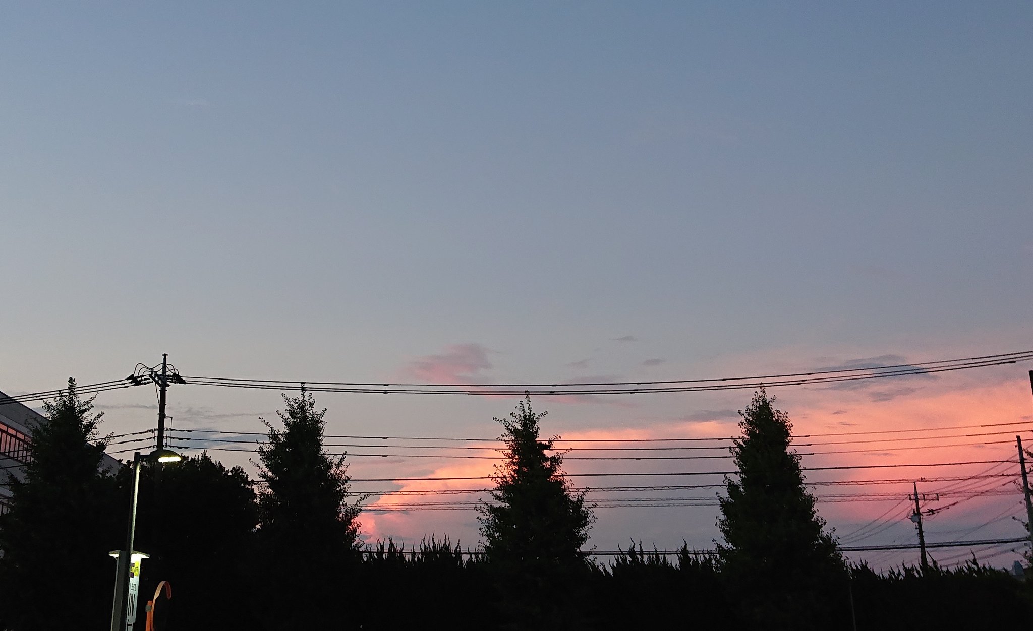 順 夕焼けって 雲に反射するとまた違った見え方をするんだね 大概オレンジ色の夕焼けを見るんだけど 珍しく昨日はピンクに見えたんだ 綺麗な色だった 日没前の太陽の動きは早いから夕焼けとか夕日とか なかなか今撮りたい瞬間に撮れないんだ