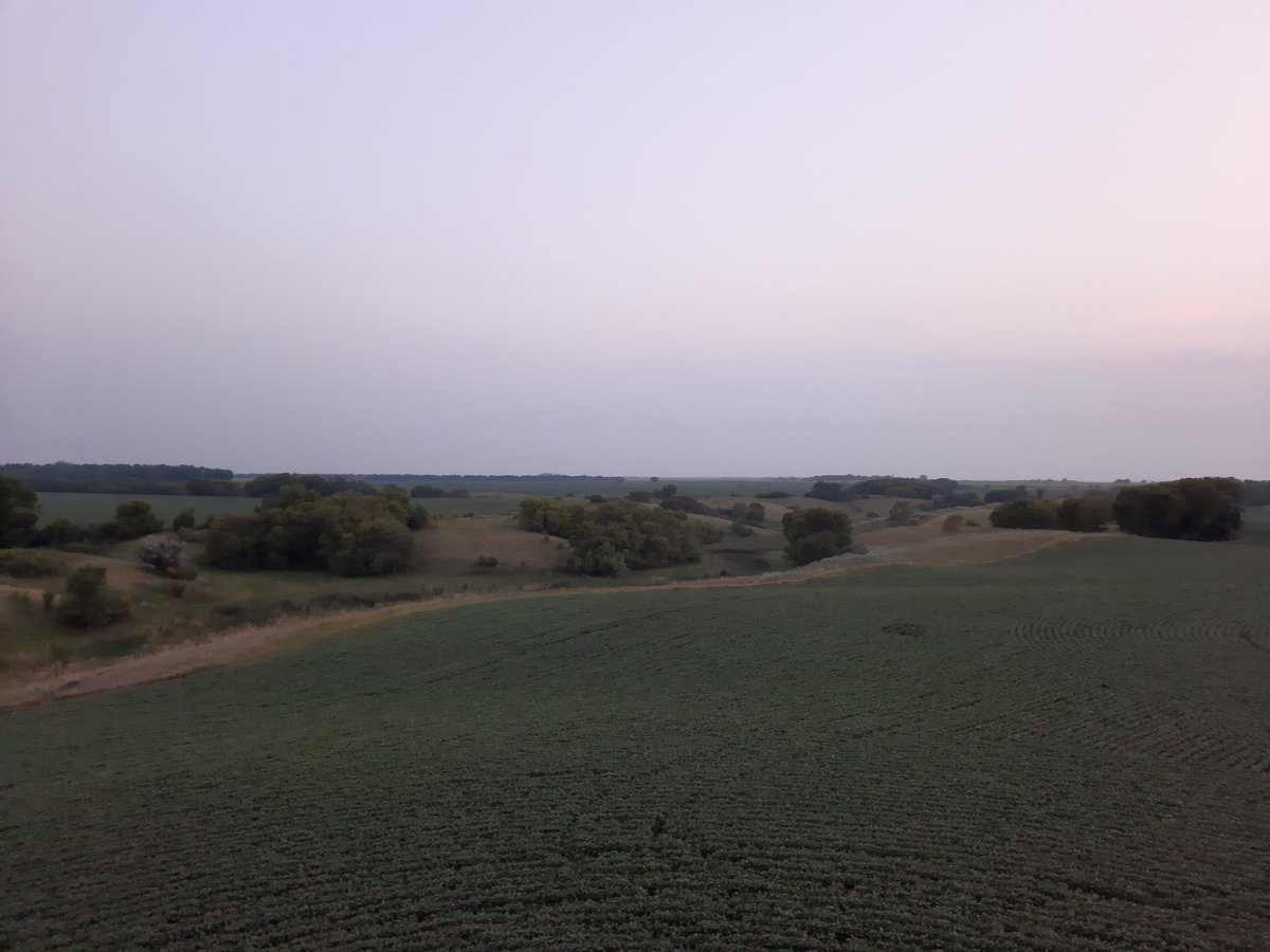 MattyIceAg's tweet image. Crop is barely holding on but still takes a nice sunset picture.