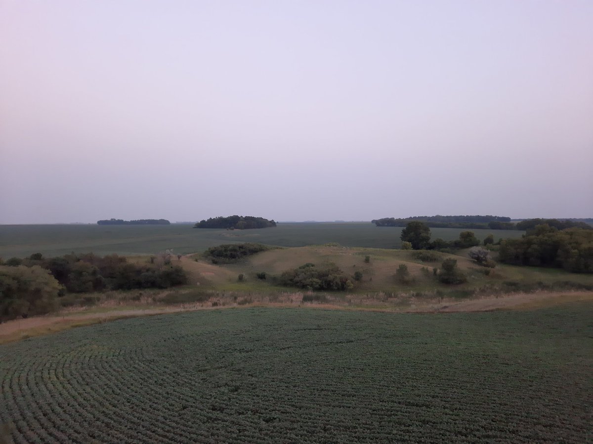 MattyIceAg's tweet image. Crop is barely holding on but still takes a nice sunset picture.