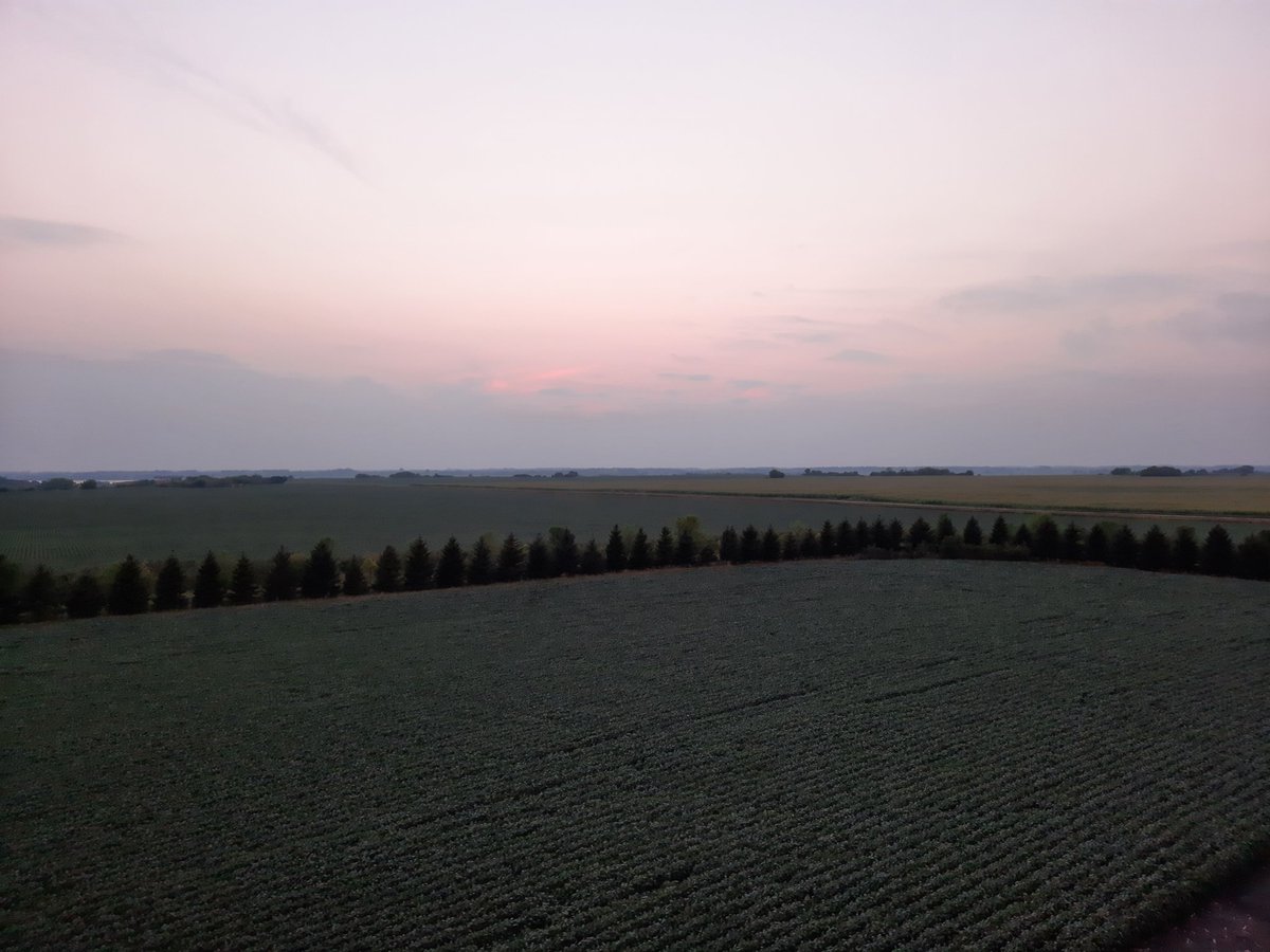 Crop is barely holding on but still takes a nice sunset picture.