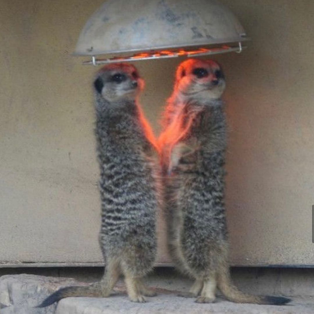 a milf just shared her umbrella with me..who said romance is dead